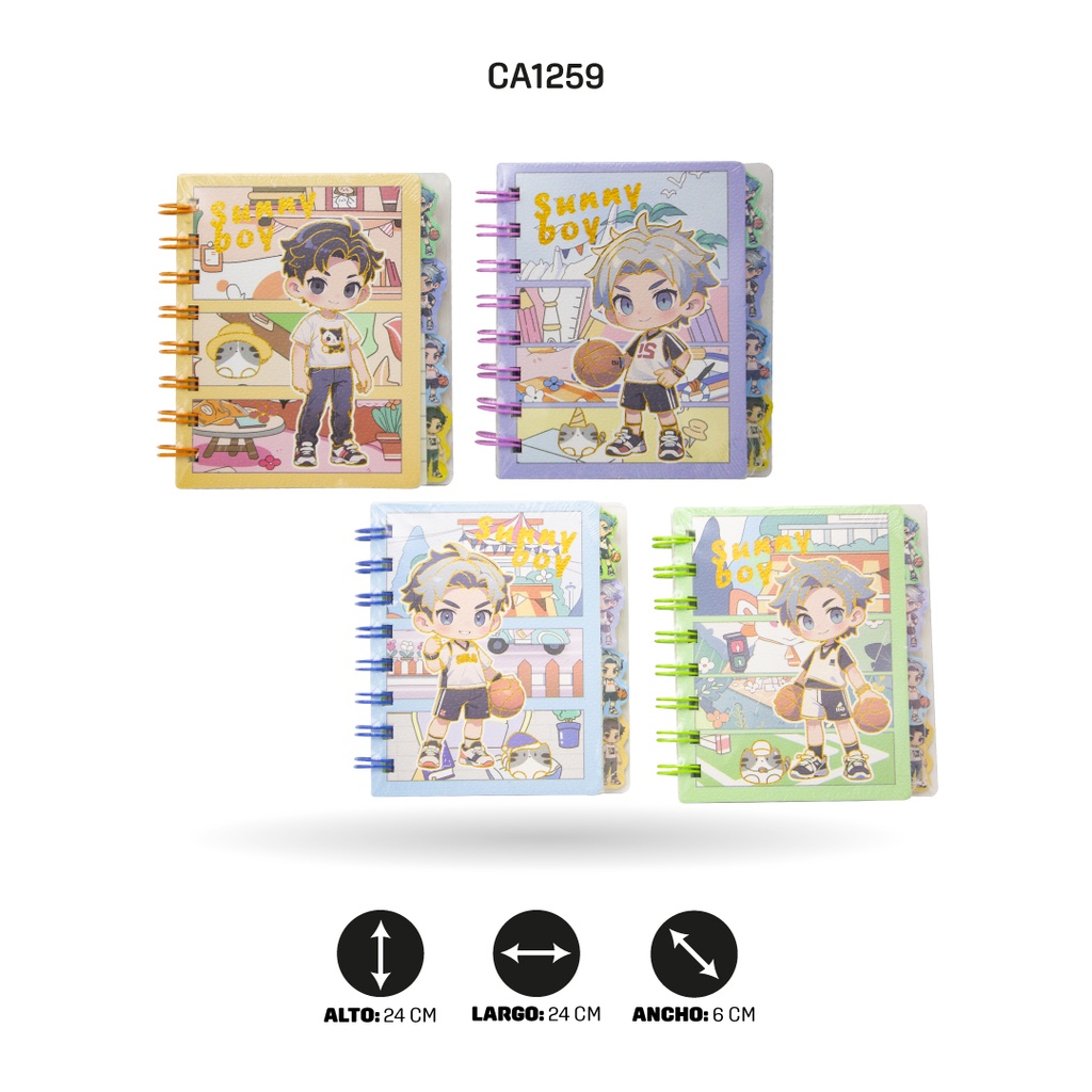 AGENDA A7-202-01 DISPLEY X 20[PAC4649]