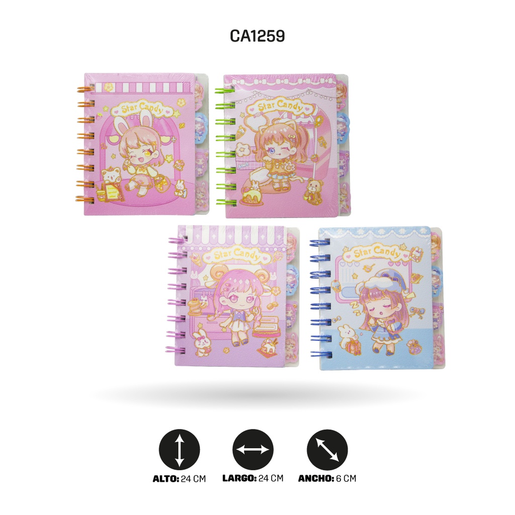AGENDA A7-202-01 DISPLEY X 20[PAC4649]